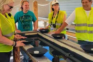 Skagway Electric Bike Tour with Gold Panning thumbnail 3