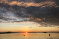 Florida Boat and Dolphin Watching Tour 2 hr thumbnail 3