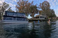 Crystal River Manatee Watching Cruise 1.5 hr thumbnail 4