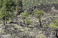 Flagstaff Grand Canyon, Wupatki & Volcano Tour thumbnail 6
