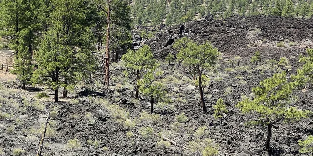 Flagstaff Grand Canyon, Wupatki & Volcano Tour - Image 6