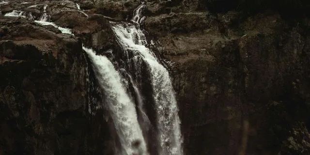 Seattle Waterfall and Forest Tour 4 hr - Image 5