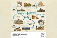 Joshua Tree National Park Self-Guided Audio Tour thumbnail 5