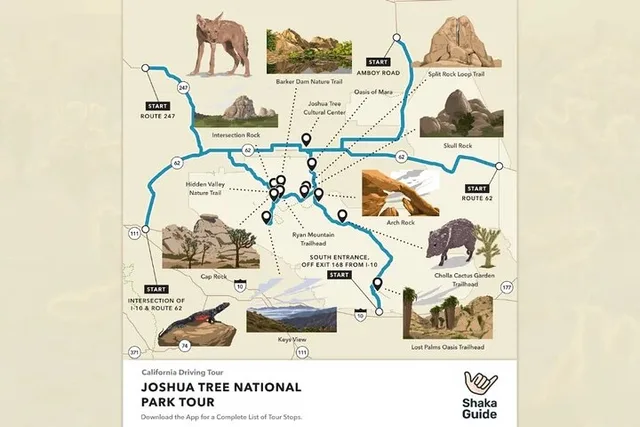 Joshua Tree National Park Self-Guided Audio Tour - Image 5