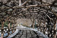 New York Central Park Guided Walking Tour thumbnail 3