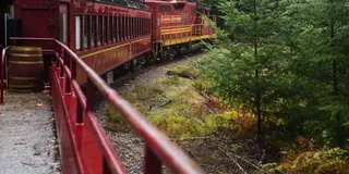 Mendocino Skunk Train Wolf Tree Turn Ride