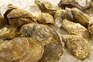 Savannah Food Tour in the Historic District thumbnail 4