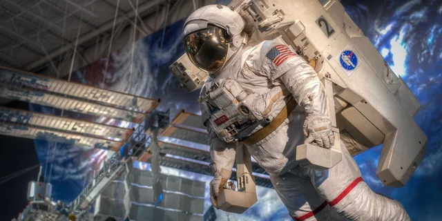 Houston City Tour and NASA Space Center Admission - Image 5