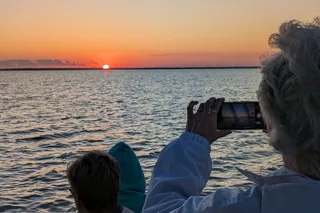 Destin Harbor Bay & Dolphin Cruise at Sunset 90 min