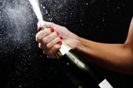 Traverse City Wine Tour with Champagne Bubbly thumbnail 4