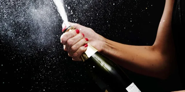Traverse City Wine Tour with Champagne Bubbly - Image 4