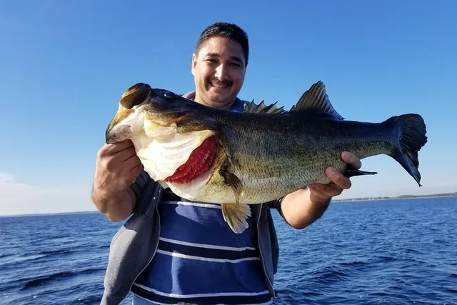 Kissimmee Lake Toho Fishing Trip - Image 6