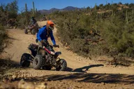 Phoenix Desert Botanical Garden Walking Tour thumbnail 4