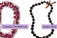 Kona Airport Lei Greeting thumbnail 4