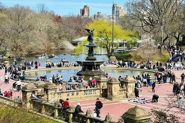 New York Central Park Pedicab Ride 60 min - Image 2