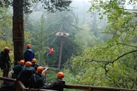 Skagway Adventure Park & Zipline Tour thumbnail 2