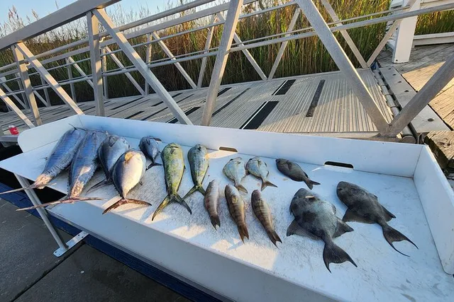 North Myrtle Beach Fishing Charter - Image 4