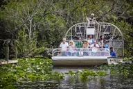 Everglades Airboat Tour thumbnail 2