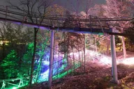 Branson Mountain Coaster Ride thumbnail 4