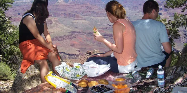 Las Vegas Grand Canyon South Rim Tour - Image 4