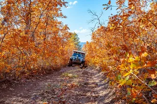 East Zion Jeep Tour Brushy Cove 90 min