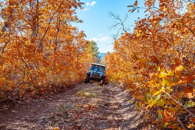 East Zion Jeep Tour Brushy Cove 90 min - Image 1