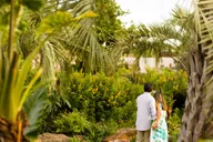 Houston Planetarium and Botanic Garden Tour thumbnail 1