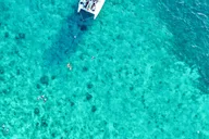 Key West Dolphin Watching and Snorkeling Cruise thumbnail 4