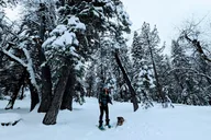 Big Bear Lake Snowshoe Tour with Hot Chocolate thumbnail 6