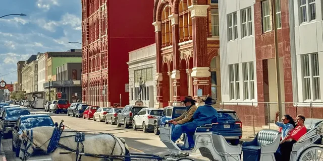 Galveston Historic Carriage Tour - Image 3