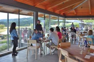 Willamette Valley Wine Tour thumbnail 3