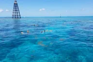 Key West Snorkel Adventure with Seafood Boil and Open Bar thumbnail 3