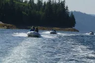 Ketchikan Zodiac Boat Adventure thumbnail 4
