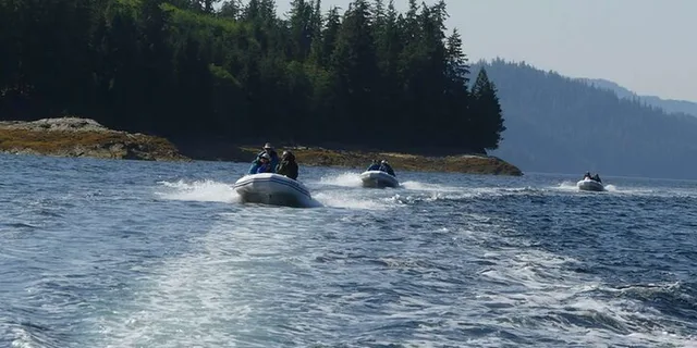 Ketchikan Zodiac Boat Adventure - Image 4