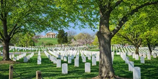 Washington, D.C. Day Trip from New York City