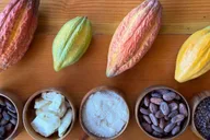 Oahu Chocolate Farm Tour with Tasting thumbnail 6