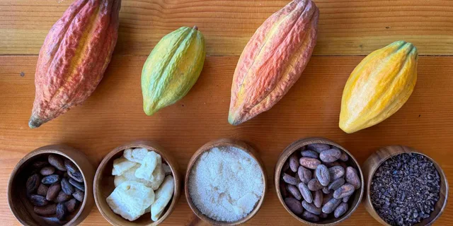 Oahu Chocolate Farm Tour with Tasting - Image 6