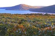 Canandaigua Wine Trail Experience thumbnail 1