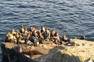 San Diego Guided Day Trip from Orange County thumbnail 2