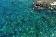 Maui Eco-Raft Snorkel and Dolphin Tour thumbnail 3