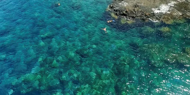 Maui Eco-Raft Snorkel and Dolphin Tour - Image 3