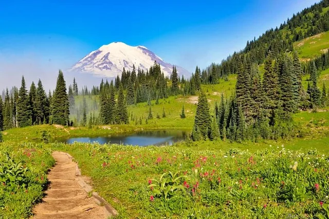 Seattle Mt Rainier National Park Tour - Image 2