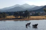 Denver Rocky Mountain National Park Tour thumbnail 3