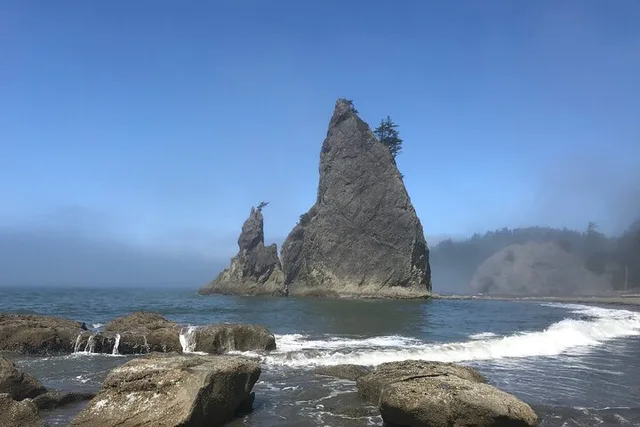 Rialto Beach Tide Pooling Hike - Image 1