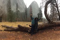 Yosemite Valley Discovery Walk thumbnail 5