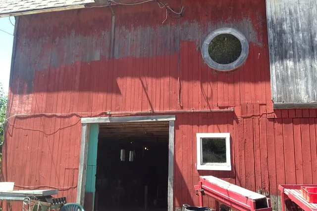 Niagara Falls Underground Railroad Heritage Tour - Image 3