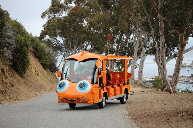 Avalon City Tour by Electric Golf Cart - Image 5