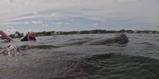 Crystal River Manatee Swim Tour with Free Photos - Image 5