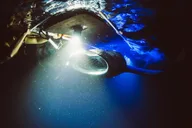 Kona Manta Ray Snorkel Tour thumbnail 5