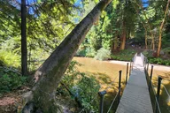 San Francisco Train Ride Adventure through Redwoods thumbnail 3